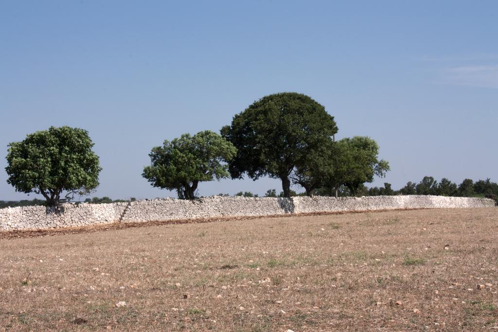 Апартаменты Trulli Sarmenzanello Ночи Номер фото