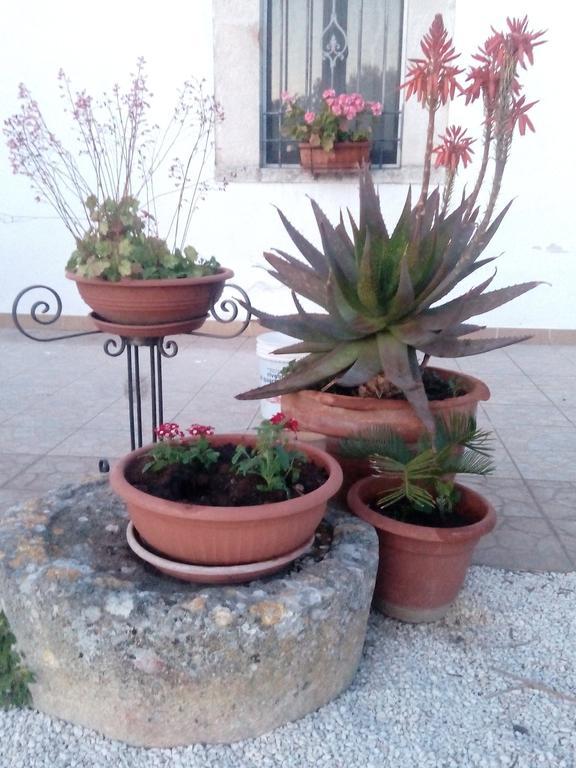 Апартаменты Trulli Sarmenzanello Ночи Экстерьер фото
